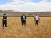 ATA YADİGARI GACER BUĞDAYININ EKİM ALANI GENİŞLETİLECEK