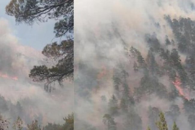 KAYSERİ'NİN YAHYALI İLÇESİNDE ÇIKAN ORMAN YANGINI, EKİPLER TARAFINDAN SÖNDÜRÜLMEYE ÇALIŞILIYOR.