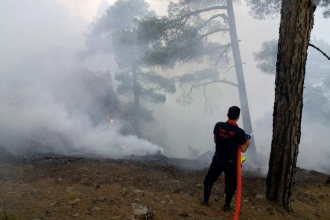 BÜYÜKKILIÇ, ALADAĞLAR MİLLİ PARKINDAKİ YANGIN BÖLGESİNDE İNCELEMELERDE BULUNDU