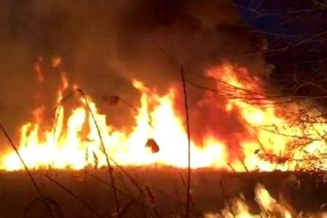 KAYSERİ'DE SULTAN SAZLIĞI MİLLİ PARKI'NDA YANGIN ÇIKTI.
