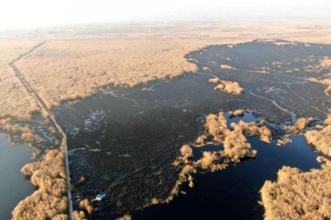 SULTAN SAZLIĞI'NDAKİ YANGININ HASARI GÜN AĞARINCA ORTAYA ÇIKTI