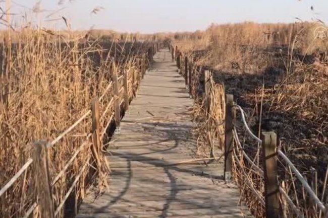 SULTAN SAZLIĞI MİLLİ PARKI'NDA ÇIKAN YANGIN SÖNDÜRÜLDÜ