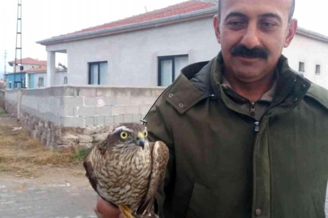 YARALI KERKENEZ KUŞUNA YARDIM ELİ