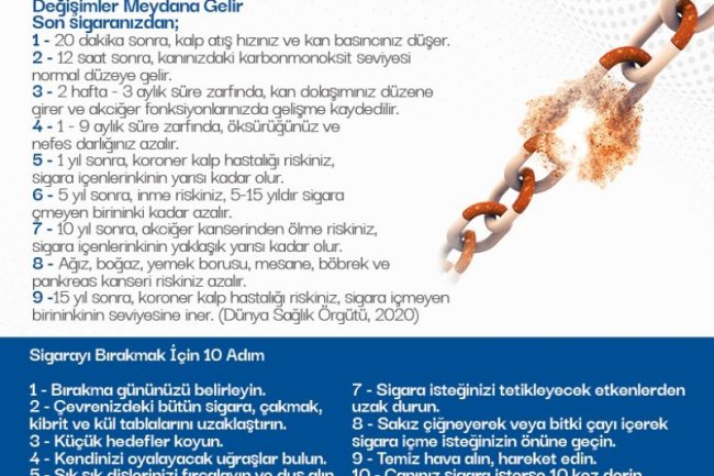 SİGARANIN ZARARLARI