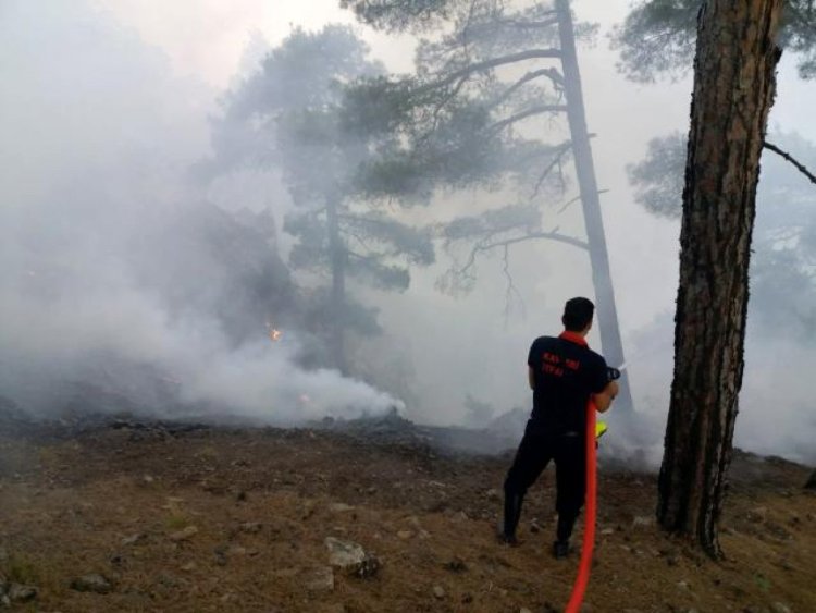 BÜYÜKKILIÇ, ALADAĞLAR MİLLİ PARKINDAKİ YANGIN BÖLGESİNDE İNCELEMELERDE BULUNDU