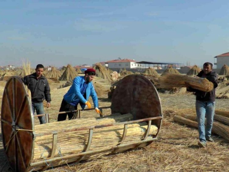 İŞÇİLERİN ZORLU 'KAMIŞ' MESAİSİ